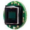 Analogowe (AV, TVI, AHD)